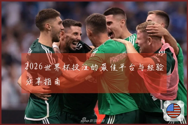 2026世界杯投注的最佳平台与经验分享指南
