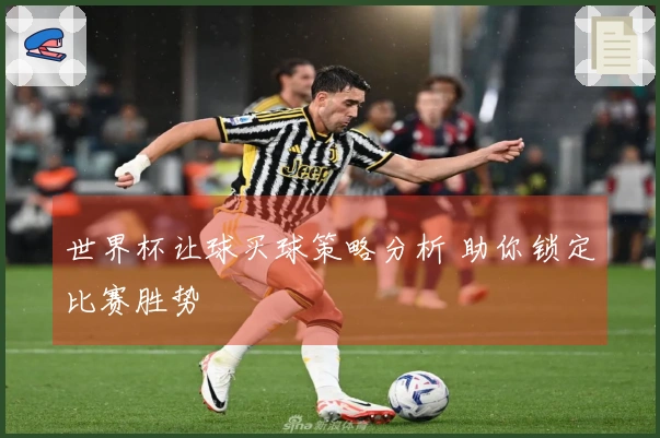 世界杯让球买球策略分析 助你锁定比赛胜势