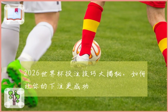 2026世界杯投注技巧大揭秘，如何让你的下注更成功
