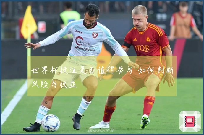 世界杯投注是否值得参与 如何判断风险与收益