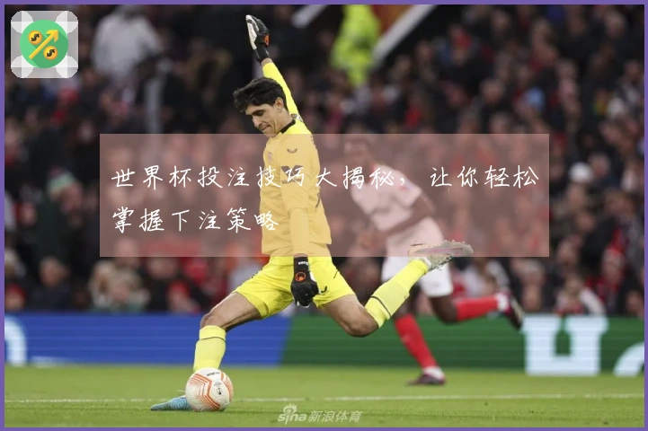 世界杯投注技巧大揭秘，让你轻松掌握下注策略