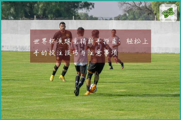 世界杯滚球竞猜新手指南：轻松上手的投注技巧与注意事项