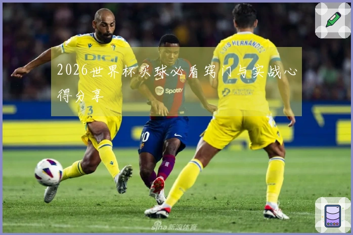 2026世界杯买球必看窍门与实战心得分享