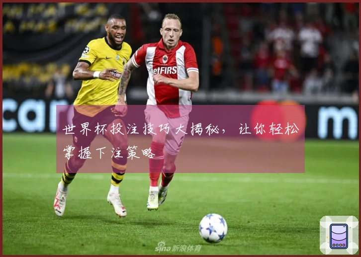 世界杯投注技巧大揭秘，让你轻松掌握下注策略