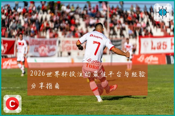 2026世界杯投注的最佳平台与经验分享指南