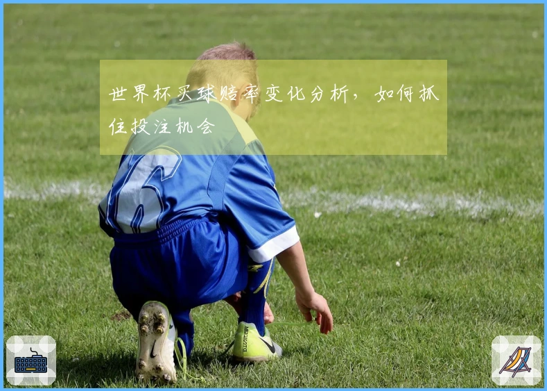 世界杯买球赔率变化分析，如何抓住投注机会