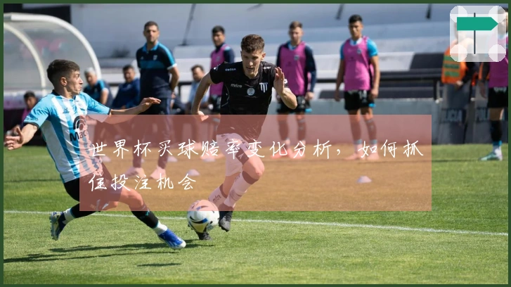 世界杯买球赔率变化分析，如何抓住投注机会